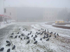 Камышин намерен прирастать не кинотеатрами или бассейнами, а автосервисами и мотелями