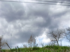 Гадалка по видеосвязи представилась 23-й «клиентке» и сообщила, что за «снятие порчи» нужно срочно перевести 110 тысяч