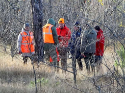 В Камышине поисково-спасательный отряд «Лиза Алерт» вывел новичков на тренировку в питомник (ВИДЕО)