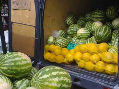 В Камышине первые дыни продаются вдвое дороже арбузов