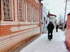 В соцсетях героем дня стал камышанин, оригинально «въехавший» в Новый год (ВИДЕО)