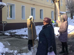 У ковидной статистики новые скачки: вверх в Волгоградской области, вниз - в Камышине