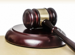 Камышинский городской суд отказал в иске по делу о возвращении земельного участка предпринимателя Сергея Раот муниципалитету