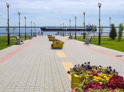 Озеленители камышинского «Благоустройства» решили высаживать на клумбы и в вазоны уже цветущие растения