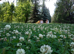 Погода в воскресенье: душное марево «зависнет» над Камышином