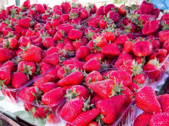 На камышинских рынках стартовал сезон продаж привозной клубники 