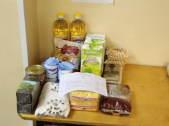 Почему в Камышине тайно развозят в некоторые квартиры пенсионеров пакеты с продуктами? - камышанка