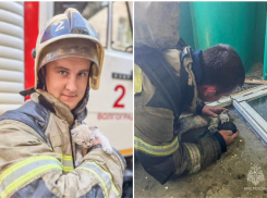 Ролик со спасенным из горящего дома котенком разволновал жителей Волгоградской области (ВИДЕО)