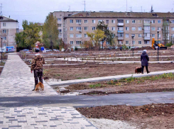 В Камышине собаки уже используют дорожки нового парка под свои туалеты, - камышанка