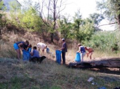 Глава Камышинского муниципального района Елена Береговая подписала распоряжение о месячнике по благоустройству