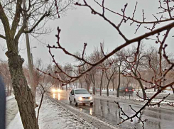 Камышин постепенно возвращается во власть морозов, да каких!