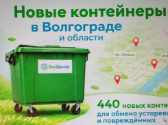 Камышанам пообещали новые контейнеры для мусора