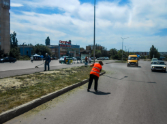 В Камышине «Благоустройство» занялось покосом на разделительных полосах и обочинах