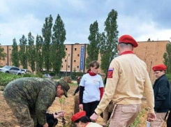 Военные и юнармейцы начали разбивать новый сквер на 3-м городке в Камышине - недалеко от памятника погибшим в СВО