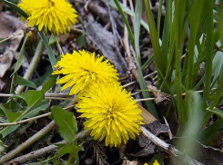 Власти Волжского сегодня, 15 апреля, завершают отопительный сезон