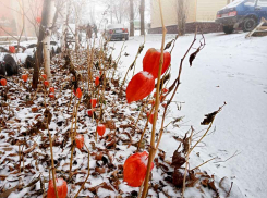 Серость, мокрый снег и дождь при 3 градусах тепла сохранятся в Камышине на все воскресенье 26 февраля