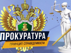 Как «распилили» 210 миллионов на ремонте следственного изолятора по соседству с Камышином