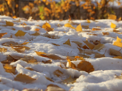 Понедельник обещает быть теплым, а в четверг камышанам стоит ждать первый снег