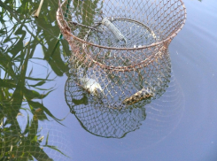 73-летний пенсионер погиб, отъехав после рыбалки со Щучьего пруда