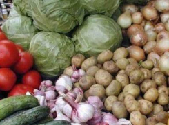 К середине июля цены на овощи в Камышине снизились 