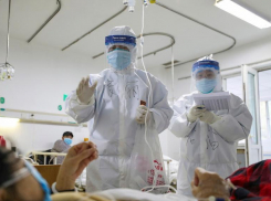 Коронавирус несется «по пятам» за жителями Волгоградской области:  рекордное число новых зараженных - 62