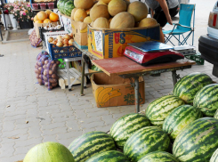 В Камышине местные арбузы стали предлагать по 30 рублей за килограмм