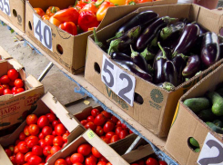 В Камышине в пик овощного сезона продавцы сбрасывают цены