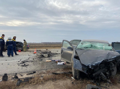 Стали известны подробности аварии с 3 погибшими в Камышинском  районе 