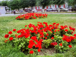 Администрация Камышина сообщила, что неделю можно голосовать за отбор площадок под первоочередное благоустройство