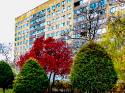  В Камышине сегодня солнечно, завтра пасмурно, но пока будет держаться «плюс»: погода в День народного единства