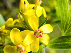 Яркое солнце припечет в Камышине до +23-х градусов 28 апреля