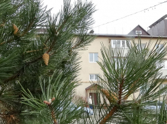 Слабого снега дождались камышане 25 января