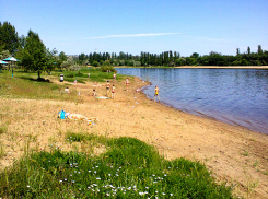 Жителю Камышина клещ так вонзил свой хоботок, что закусал до болезни Лайма