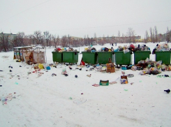 Нашлось объяснение мусорному коллапсу в первые дни нового года в Волгоградской области 