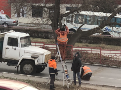 В Камышине перед снегопадом службы благоустройства скручивают «лежачих полицейских»