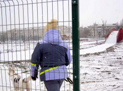Морозно и снежно: погодная повестка в Камышине на 5 января и ближайшие дни
