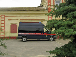 Индивидуальный предприниматель подозревается в оказании услуг по развлечению на «самодельной тарзанке» , не отвечающей требованиям безопасности