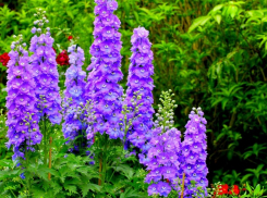 Погода в Камышине: слегка повеяло прохладой