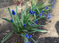 В Камышине опять зарядят дожди: погодная повестка на сегодня, 19 апреля