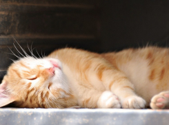  Облачно с прояснениями  завершится рабочая неделя в Камышине