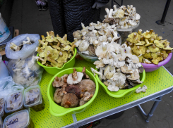 На камышинских рынках случился декабрьский грибной бум