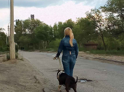 В Камышине вместе с дождями «поплыли» дороги