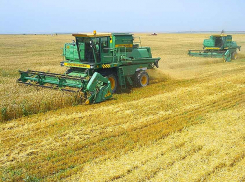 Стали известны кандидатки на должность главы Камышинского района: депутатам районной думы соискательниц представят завтра, 18 ноября