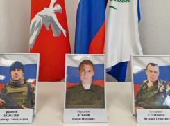 В Камышине торжественно передали награды погибших в СВО рядовых и младшего сержанта их родным