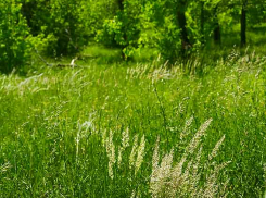 Областной оперштаб сообщил о том, кто 19-й умерший от коронавируса, и о том, что сегодня нет ни одного завозного случая заражения