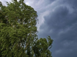 ГУ МЧС по Волгоградской области предупредило о надвигающихся бурях, которые, впрочем, до Камышина до сих пор не доходили