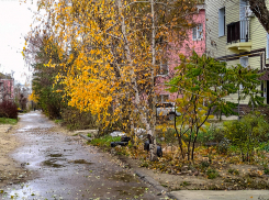 «Реально тринадцатое»: в десятках домов Камышина коммунальщики сегодня отключают  свет, а  в одном - воду