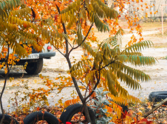 Синоптики заговорили о гололедице: водителям-камышанам приготовиться!