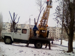 В Камышине, несмотря на выпавший снег, продолжается обрезка деревьев