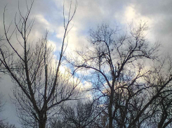 В селе Таловка Камышинского района обнаружен окоченевший труп